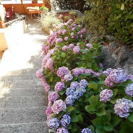 Guest house Irena Gregov Moscenicka Draga